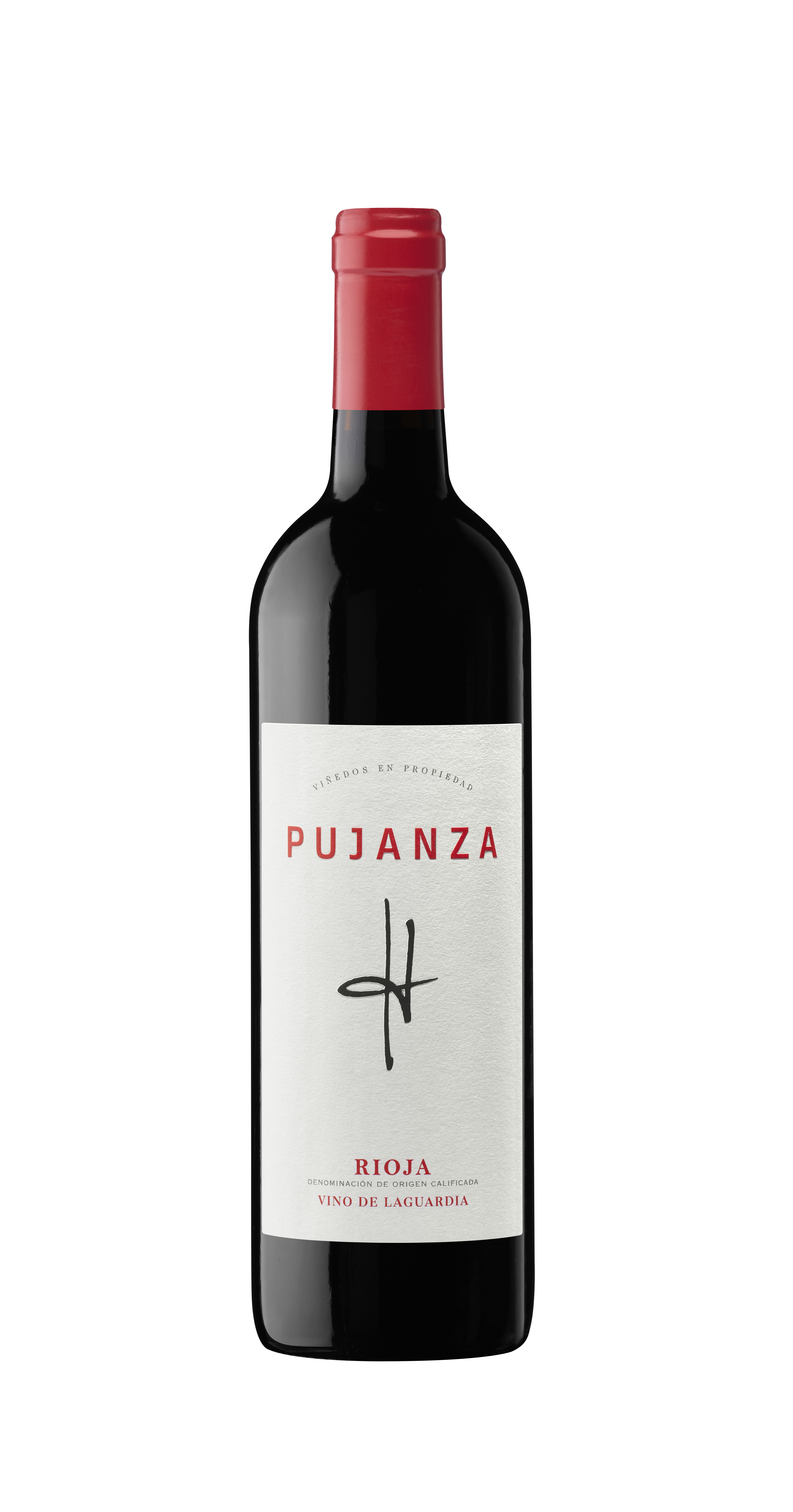 Pujanza