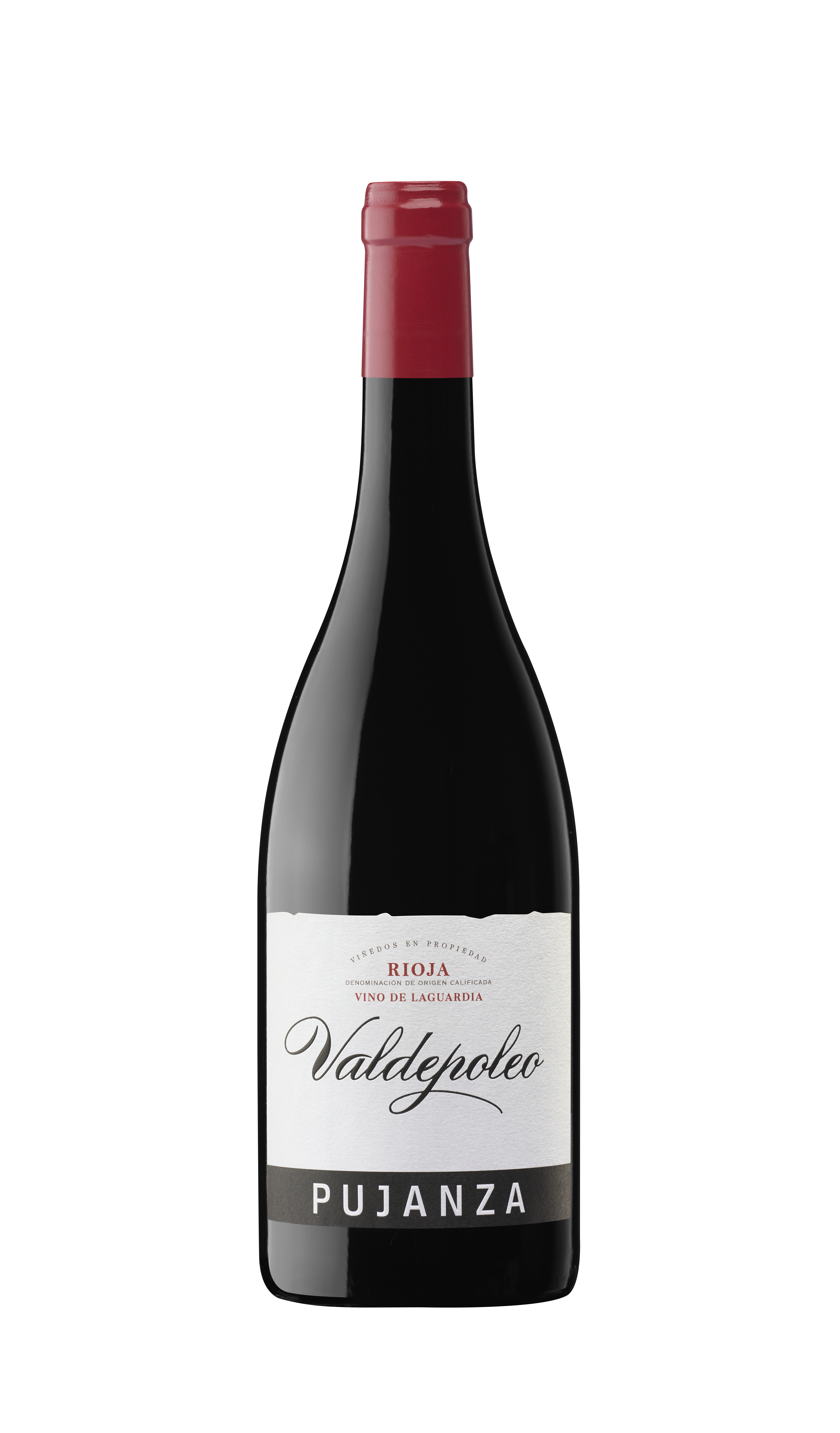 Valdepoleo